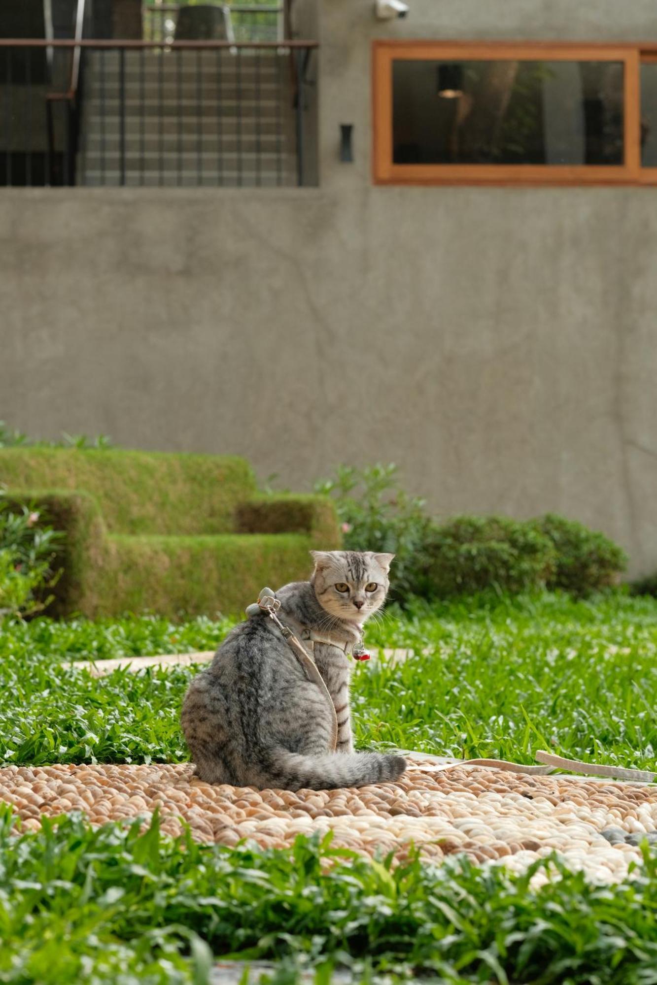 Proud Phu Fah Muang Chiang Mai Hotel Exterior photo